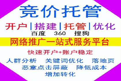 SEM推广案例：电商流量提升策略